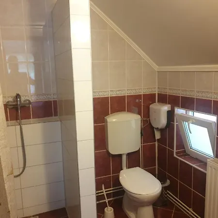Casa Brandusa Guest house