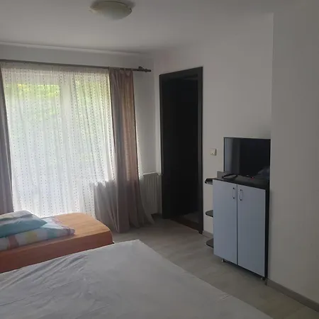 Casa Brandusa Guest house Bran (Brasov)