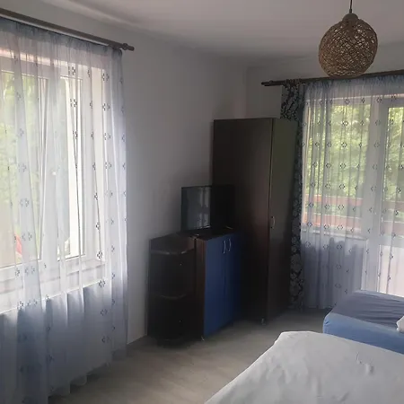Guest house Casa Brandusa Bran (Brasov)
