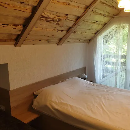 Guest house Casa Brandusa Bran (Brasov)
