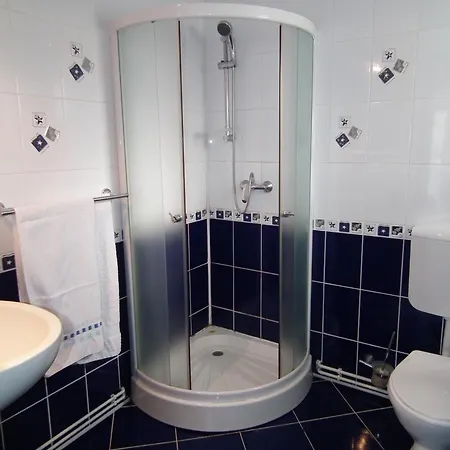 Casa Brandusa Guest house Bran (Brasov)