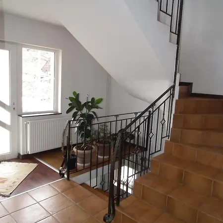 Casa Brandusa Guest house Bran (Brasov)